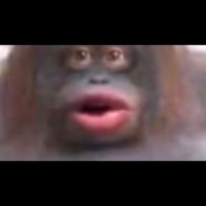 Meet your Posher, Elijah